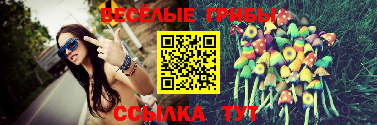 Псилоцибиновые грибы мухоморы Сорочинск